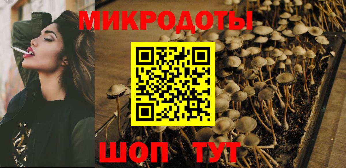 Галлюциногенные грибы мухоморы  Вход с VPN  что такое наркотик  Нижний Новгород 